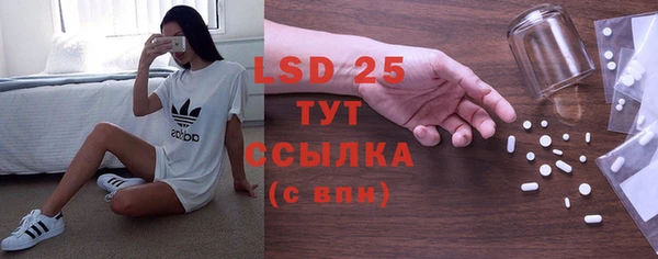 трава Бородино