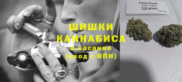 трава Бородино