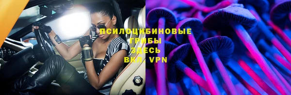 таблы Богданович