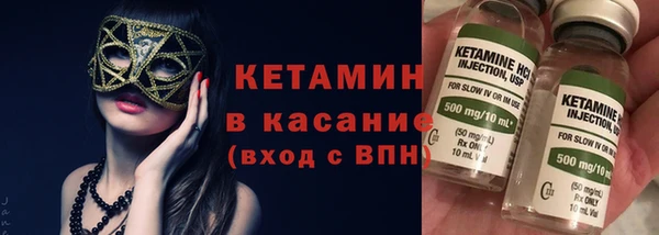 трава Бородино