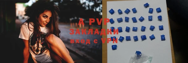 PSILOCYBIN Бронницы